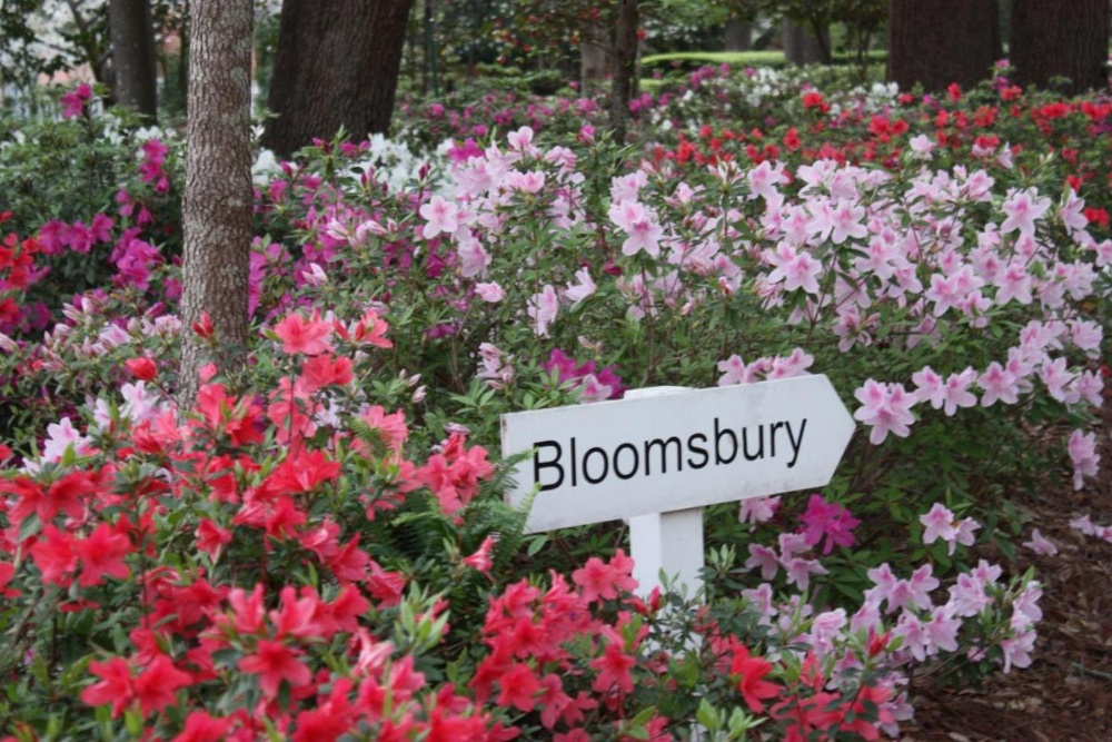 Bloomsbury Inn Image 38